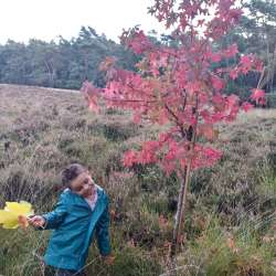 Profielfoto van Aris op Oppasland