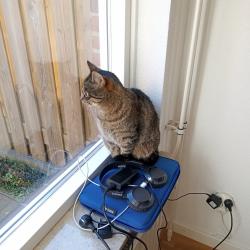 Profielfoto van Sofie op Oppasland