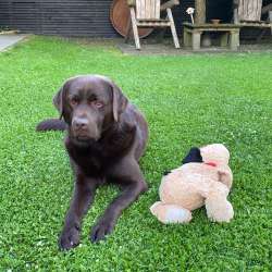 Profielfoto van Messi op Oppasland