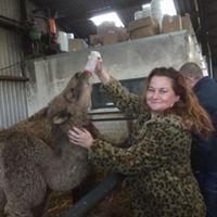 Profielfoto van Inge op Oppasland