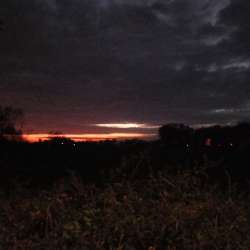 Profielfoto van Sanne op Oppasland