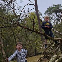 Profielfoto van Harm op Oppasland