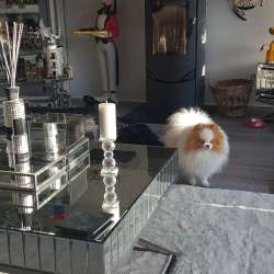 Profielfoto van Hans op Oppasland