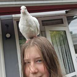 Profielfoto van Alexa op Oppasland