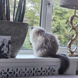 Profielfoto van Astrid op Oppasland