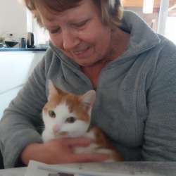 Profielfoto van Cor op Oppasland