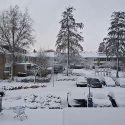 Profielfoto van Tuka op Oppasland