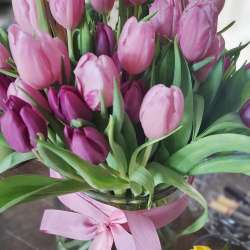 Profielfoto van Joan op Oppasland