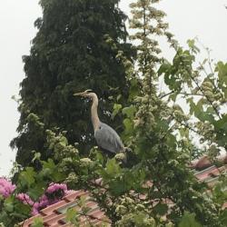 Profielfoto van Gr op Oppasland