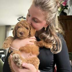 Profielfoto van Puck op Oppasland