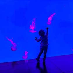 Profielfoto van Elle op Oppasland