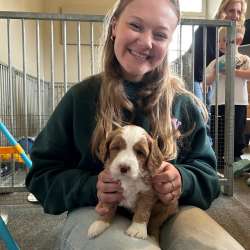 Profielfoto van Gwen op Oppasland