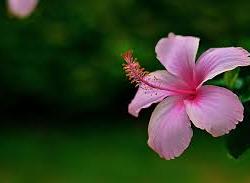 Profielfoto van Noa op Oppasland