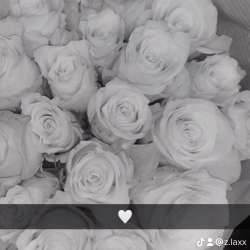 Profielfoto van Zaineb op Oppasland