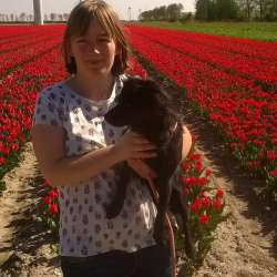 Profielfoto van Merula op Oppasland