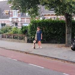 Profielfoto van Suus op Oppasland