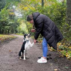 Profielfoto van Lianne op Oppasland