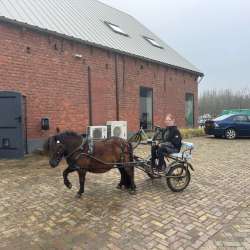 Profielfoto van Jasmijn op Oppasland