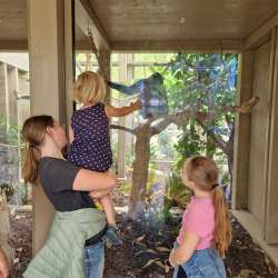 Profielfoto van Jasmijn op Oppasland