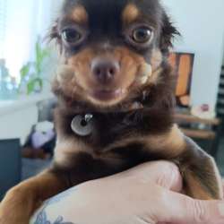 Profielfoto van Emma op Oppasland