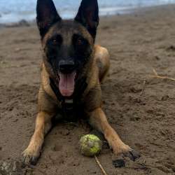 Profielfoto van Peter op Oppasland