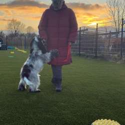 Profielfoto van Petra op Oppasland