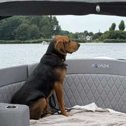 Profielfoto van Koos op Oppasland