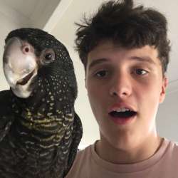 Profielfoto van Dominique op Oppasland