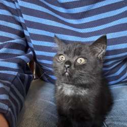 Profielfoto van Frédérique op Oppasland