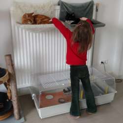 Profielfoto van Tanja op Oppasland