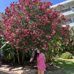 Profielfoto van Isminur op Oppasland