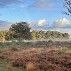 Profielfoto van Wout op Oppasland