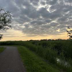 Profielfoto van Maud op Oppasland