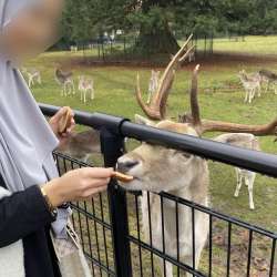 Profielfoto van Nour op Oppasland
