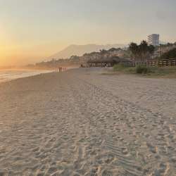 Profielfoto van Sofia Sriram op Oppasland