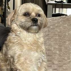 Profielfoto van Nadine op Oppasland