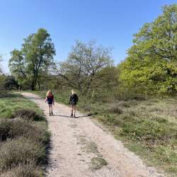 Profielfoto van Anke op Oppasland