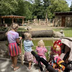 Profielfoto van Lisanne op Oppasland