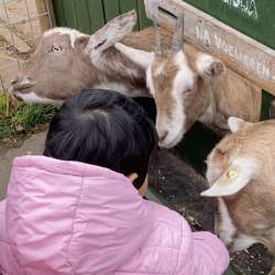 Profielfoto van Raazia op Oppasland