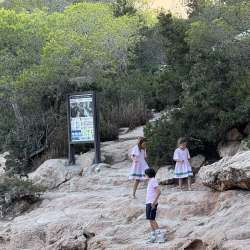 Profielfoto van Yassi op Oppasland