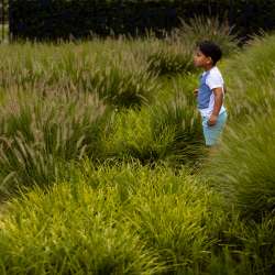 Profielfoto van Dewi op Oppasland