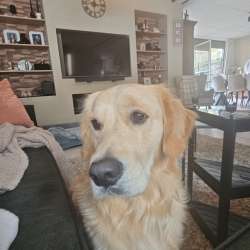 Profielfoto van Mila op Oppasland