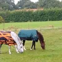 Profielfoto van Arend op Oppasland