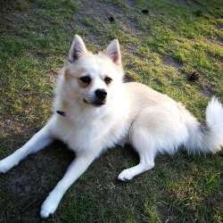 Profielfoto van Eva op Oppasland