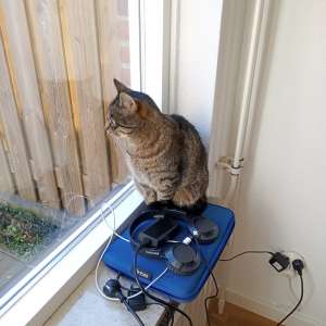 Profielfoto van Sofie op Oppasland