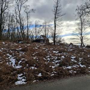 Profielfoto van Farah op Oppasland