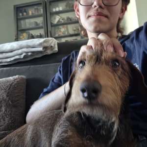 Profielfoto van Senn op Oppasland