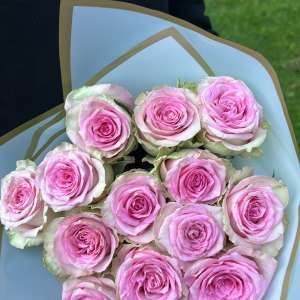 Profielfoto van Aaliyah op Oppasland