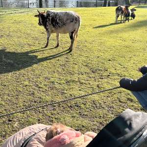 Profielfoto van Maurits En Annika op Oppasland