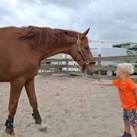 Profielfoto van Natalie op Oppasland